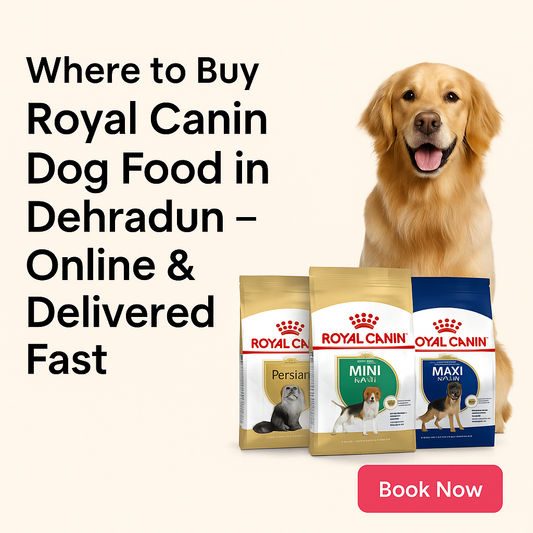 Where to Buy Royal Canin Dog Food in Dehradun β Online & Delivered Fast