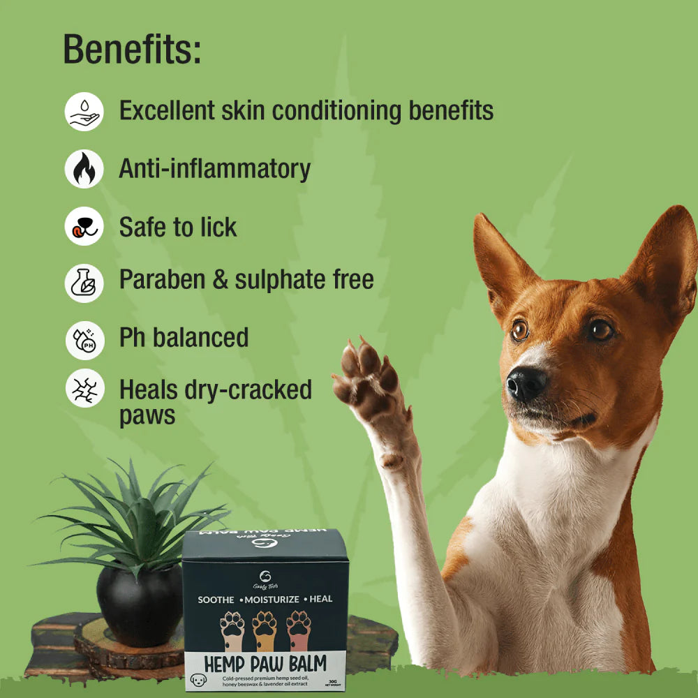Goofy Tails Paw Balm 30 Gm