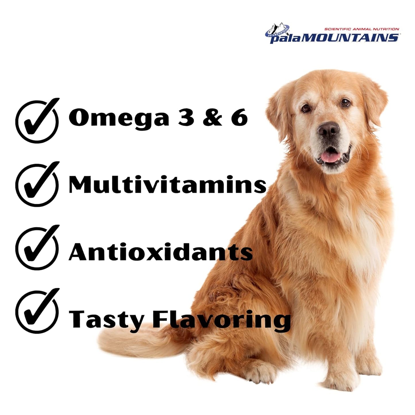 MyBeau Feed Supplement for Dogs – Liquid Multivitamin in Dehradun