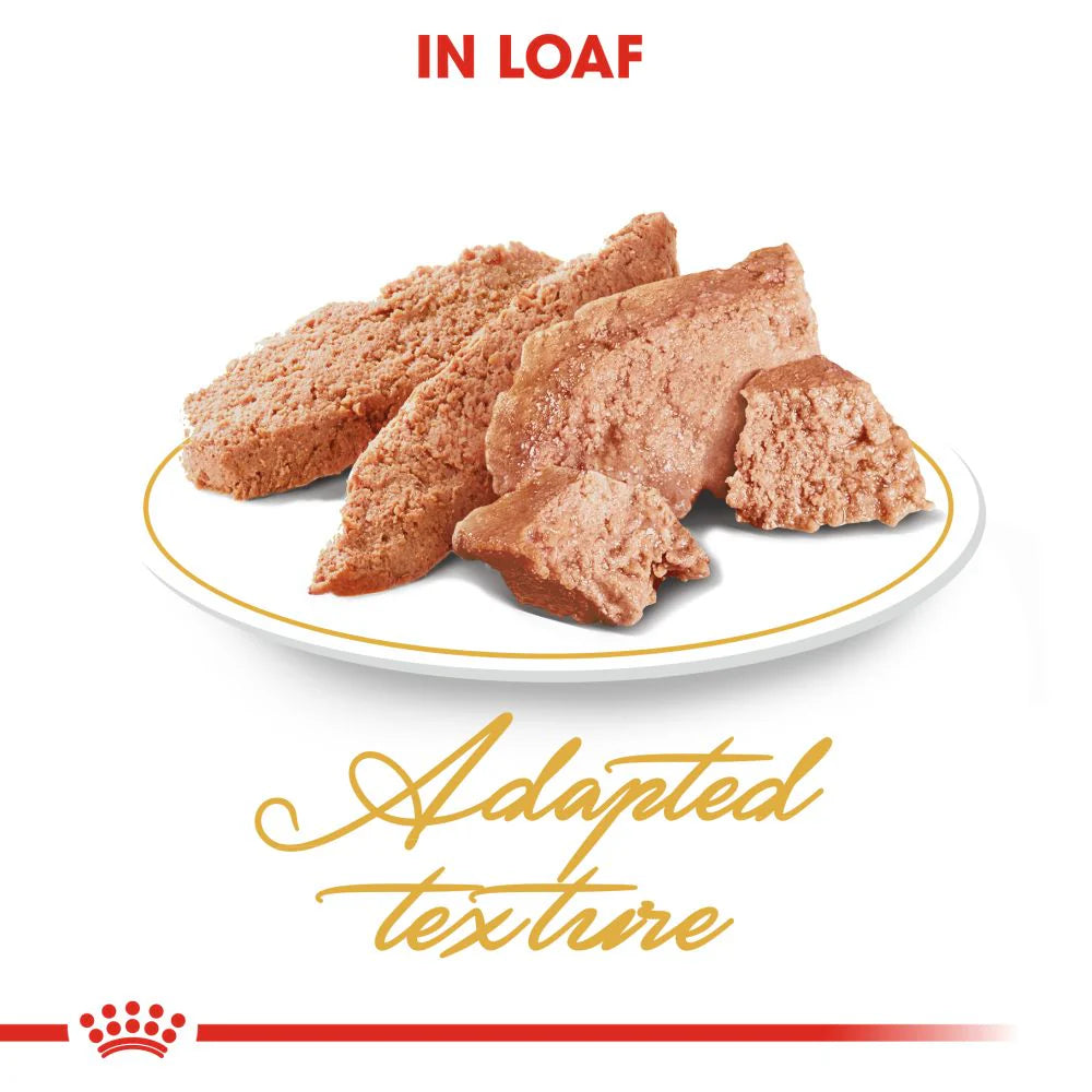 Royal Canin Loaf-Mousse Persian Wet Cat Food - 85 g packs