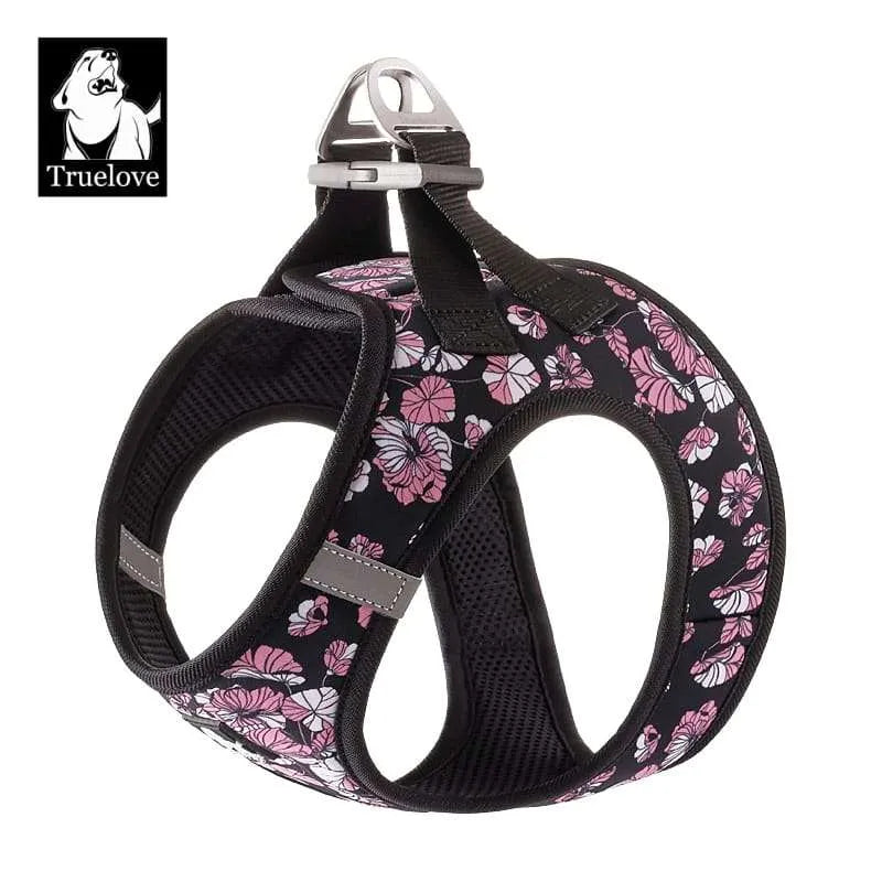 Truelove harness in dehradun