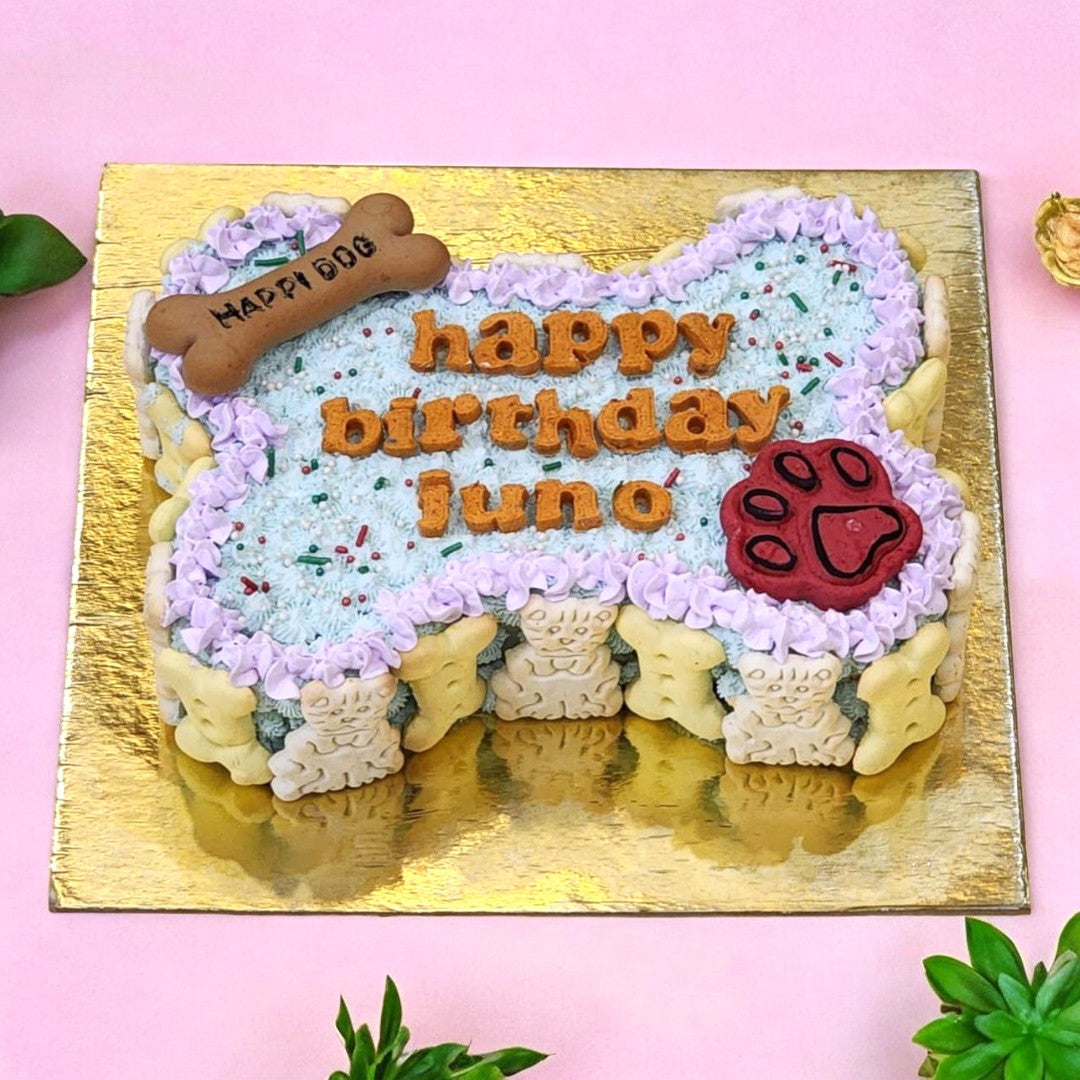 Savory chicken & yogurt cake for German Shepherds in Dehradun