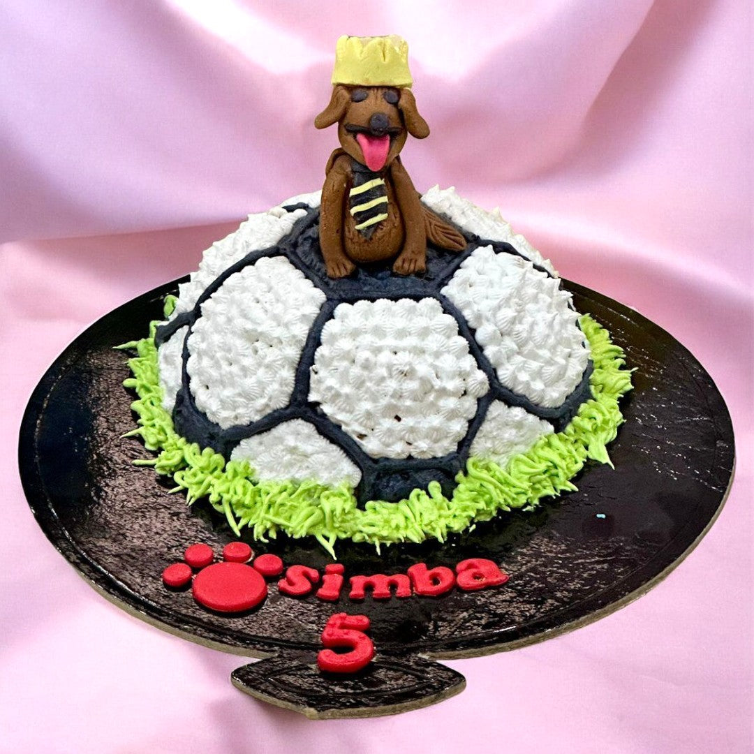 Football-shaped dog birthday cake with custom dog figure topper made in Dehradun