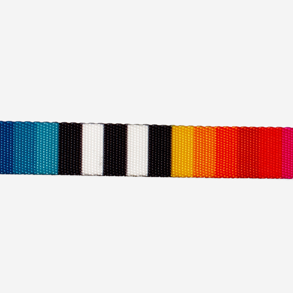 Zeedog Prisma H-Harness