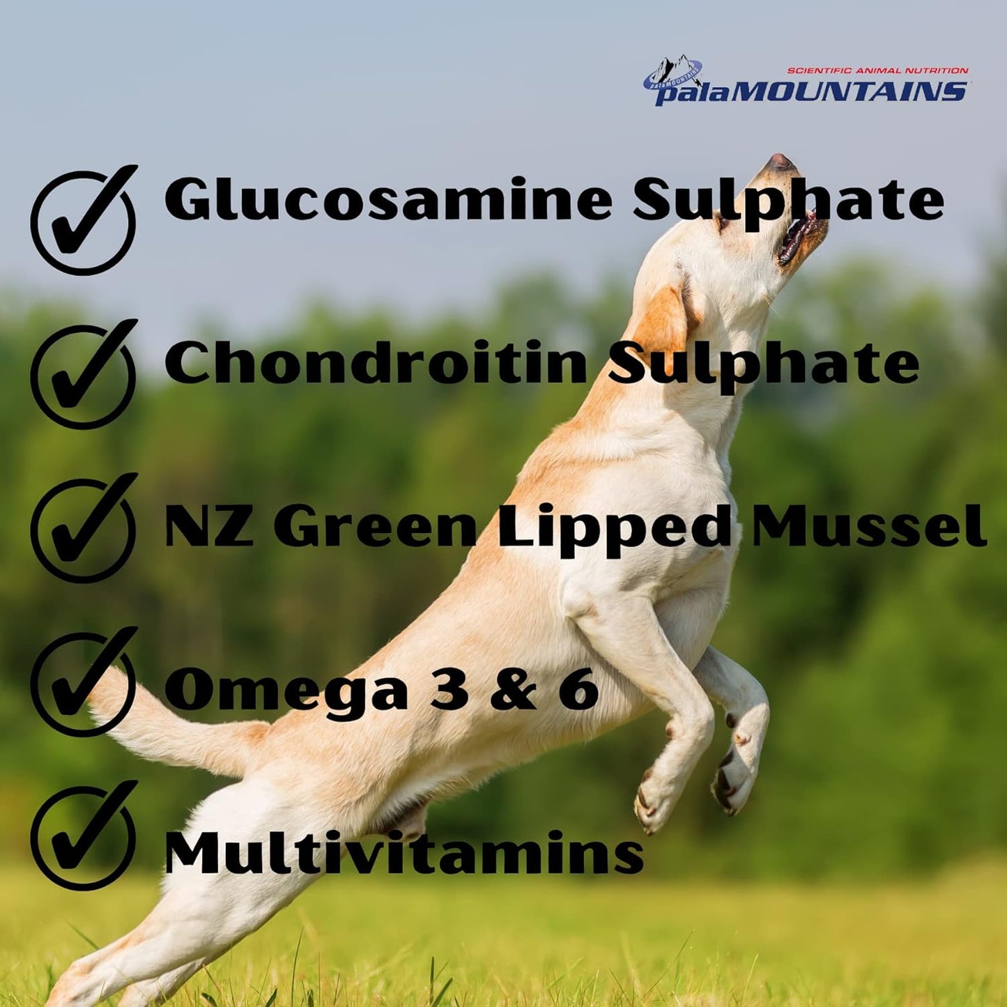 MyBeau Bone & Joint Supplement for Dogs & Cats – 300ml