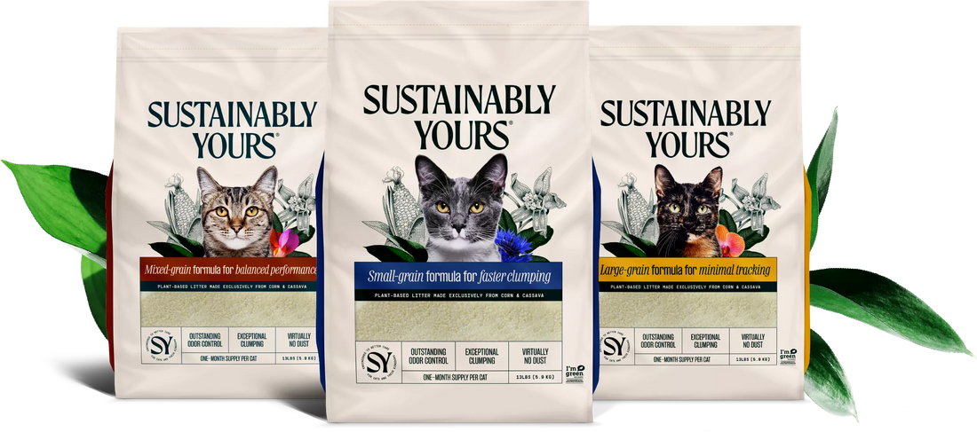 Best Cat Litter in Dehradun – Why Sustainably Yours is Better Than Bentonite