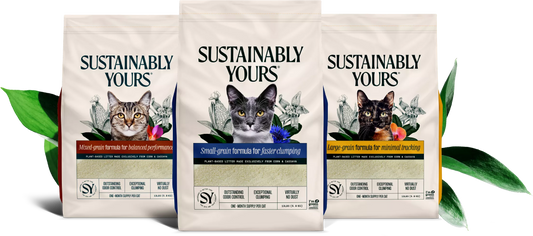 Best Cat Litter in Dehradun – Why Sustainably Yours is Better Than Bentonite