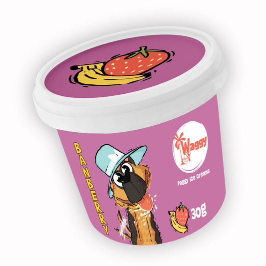 Waggy Zone Icecream Banberry