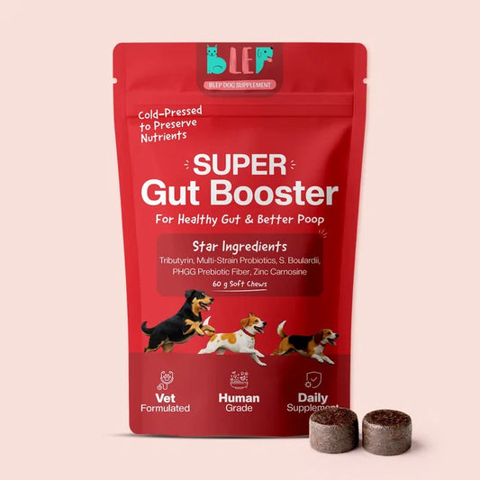 Blep Super Gut Booster 60 gm
