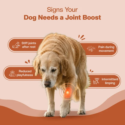 Blep Super Joint Booster 60 gm