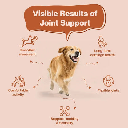 Blep Super Joint Booster 60 gm