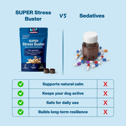 Blep Super Stress Booster 60 gm