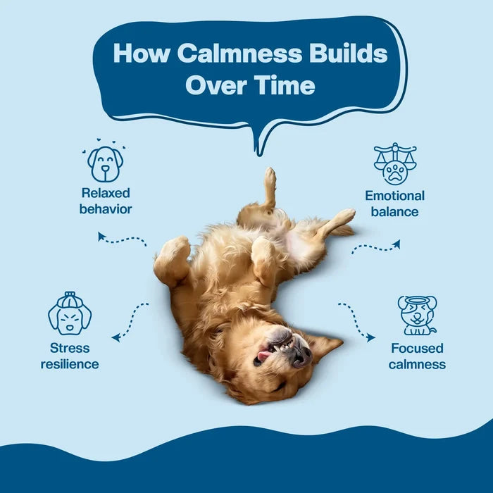 Blep Super Stress Booster 60 gm