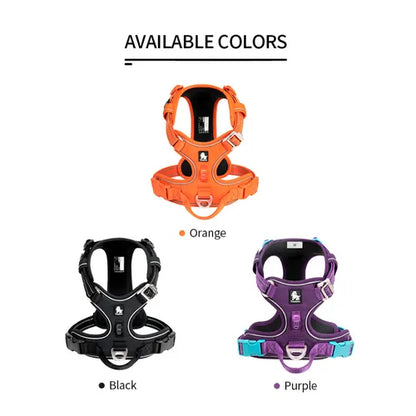 Cordura No Pull Harness Colours in Dehradun