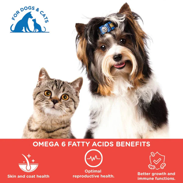 Furever Salmon Oil for Dogs & Cats