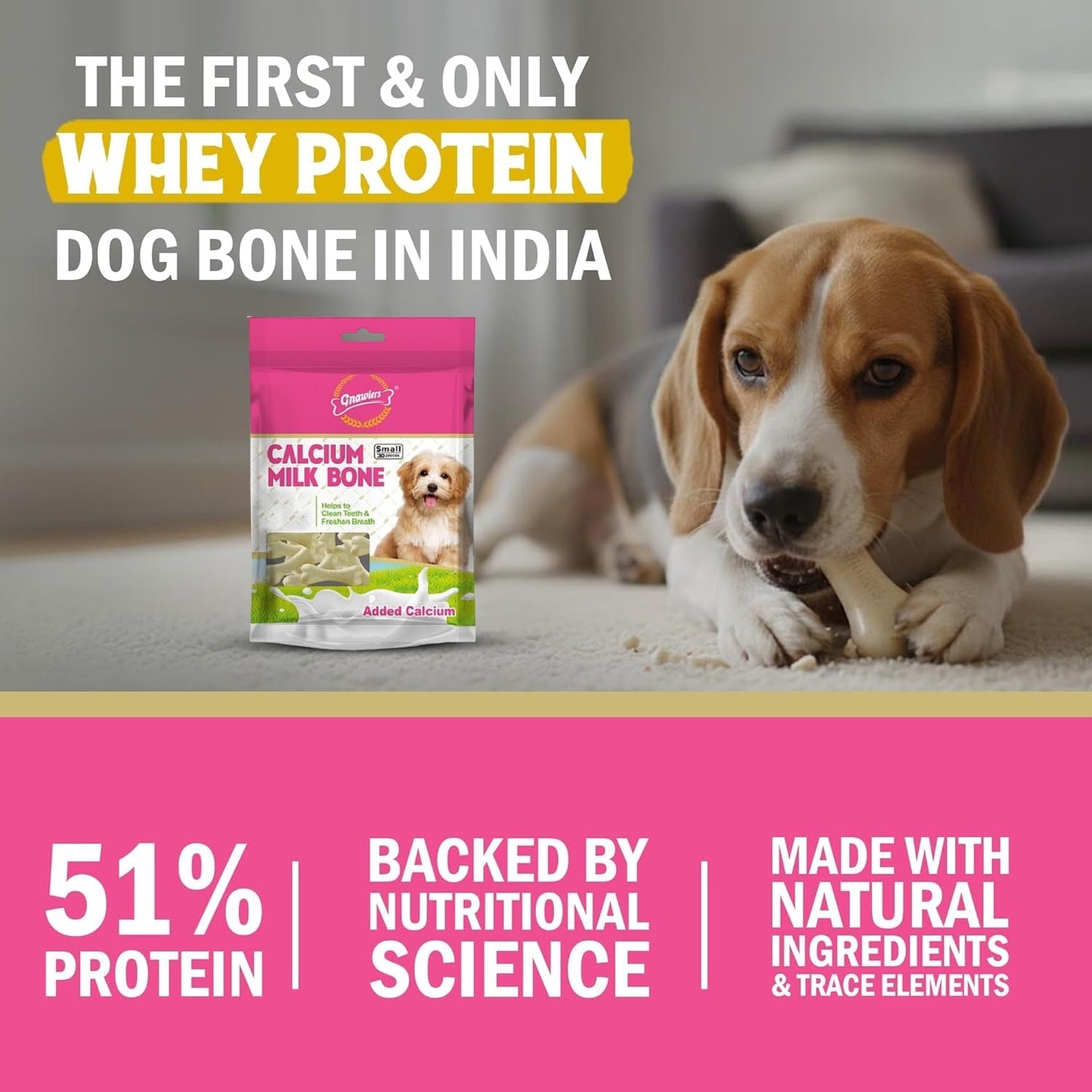 Gnawlers Calcium Milk Bone | All Life Stages | Small