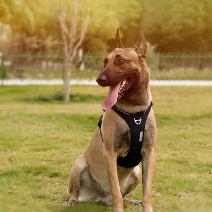 Harness Wear By Pet in Dehradun