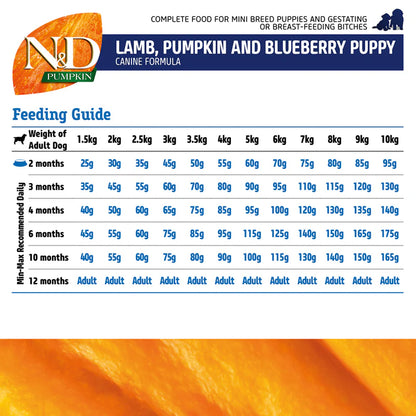 N&D Pumpkin | Lamb & Blueberry | Puppy Mini | Dog Dry Food | 800 grams