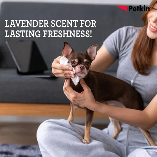 Petkin Gaint Big N' Thick Lavender Scented Petwipes for Dogs and Cats