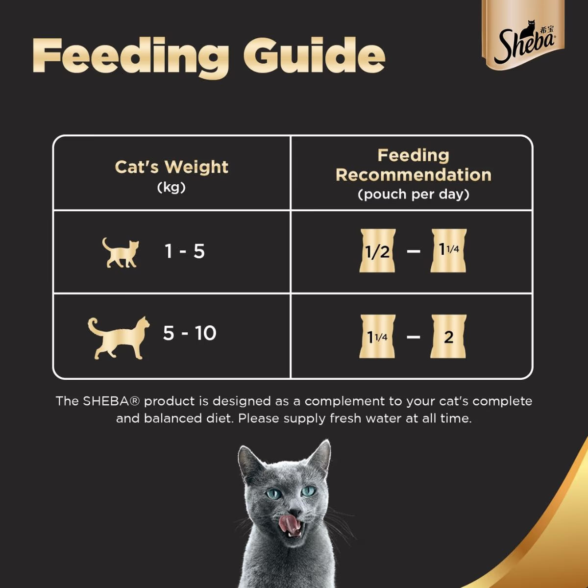 Sheba Rich Feeding Guide in Dehradun