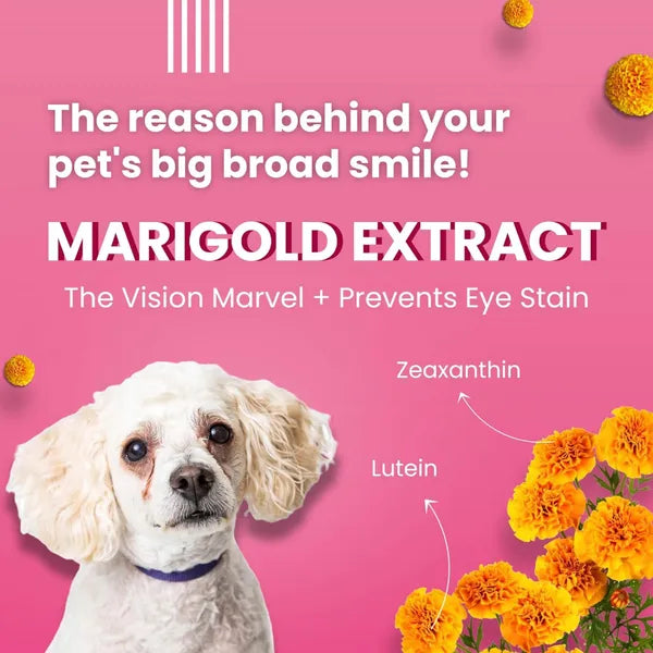 Bark Out Loud Tear Stains Eyebright Chew Stix Dog Treats 100 gm