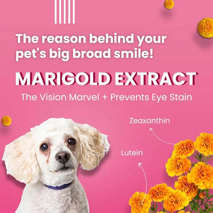 Bark Out Loud Tear Stains Eyebright Chew Stix Dog Treats 100 gm