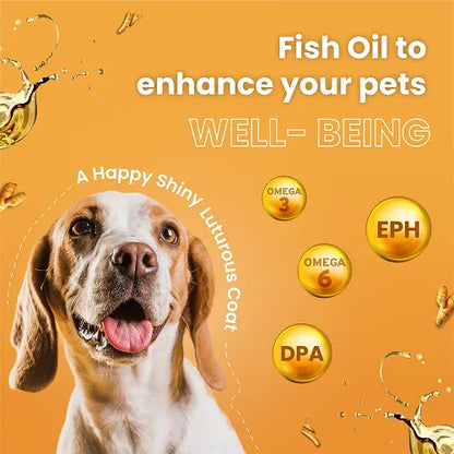 Bark Out Loud Glow and Shine Turmeric Chew Stix for Dogs and Cats 100 gm