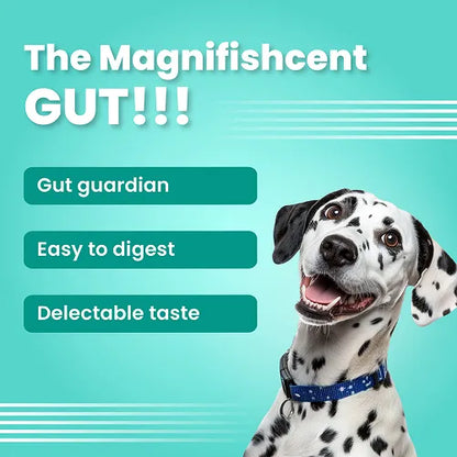 Bark Out Loud Mini Fishes Grain Free & Hypoallergenic Dog Treats 100 gm