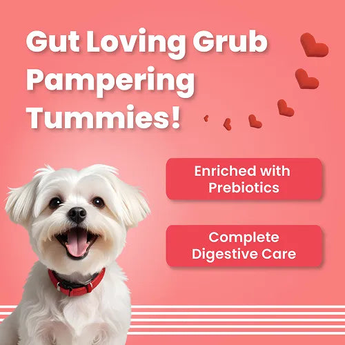 Bark Out Loud Red Hearts Dog Treats 100 gm