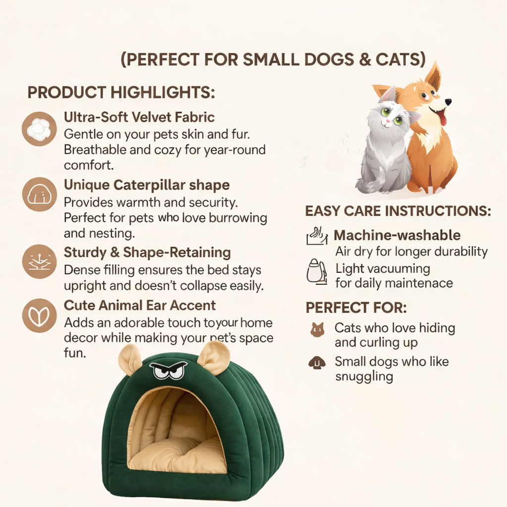 Caterpillar Hut Highlights in Dehradun