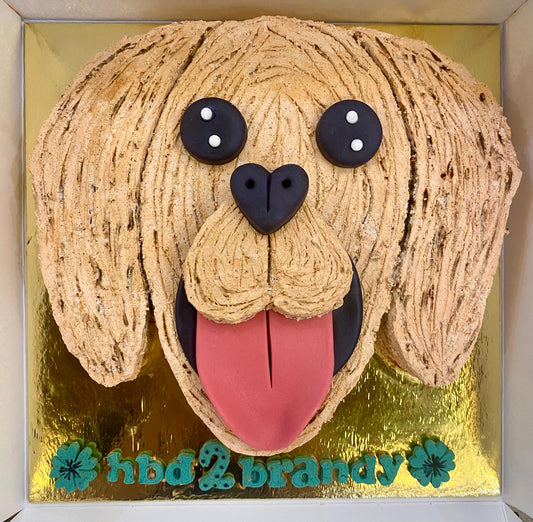 Golden Retriever face-shaped birthday cake for dogs with peanut butter and oats, made in Dehradun