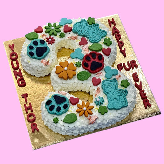 Number 3 birthday cake for dog's second birthday, custom made in Dehradun pet bakery