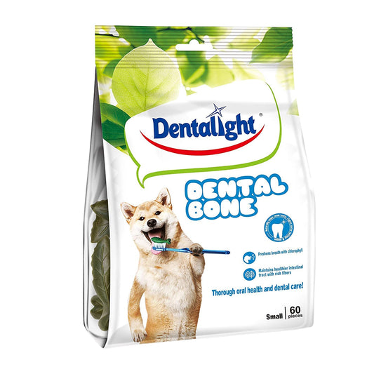 Dental Bone in Dehradun