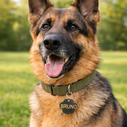 ID Tag - Paw Shaped | 50 mm | Gold