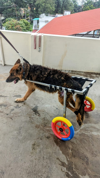 Pet Wheelchair Large