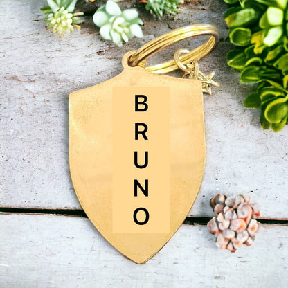 Customised id tags in dehradun