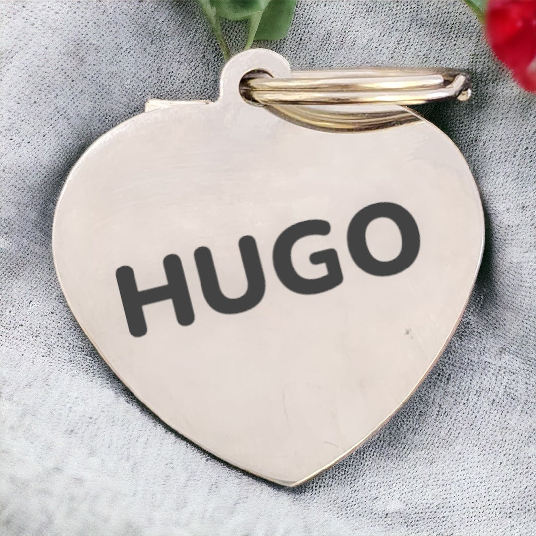Personalised pet id tag in Dehradun