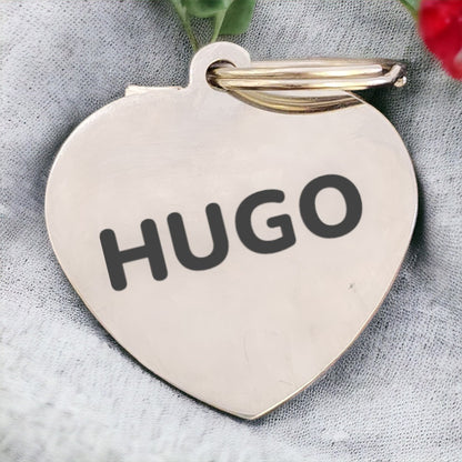 Personalised pet id tag in Dehradun
