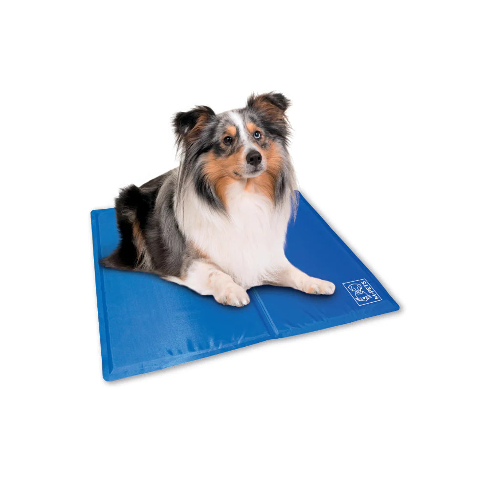 Mpets Cooling Mats Medium Available in Dehradun