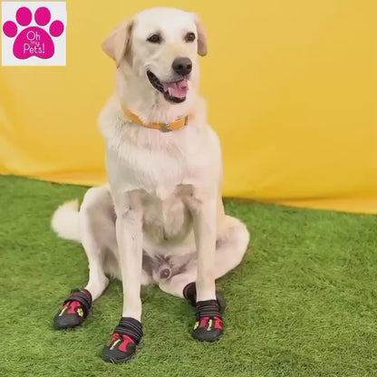 Truelove Pet Boots Size 5