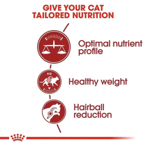 Royal Canin Fit 32 Regular for Adult Cat Dry Food