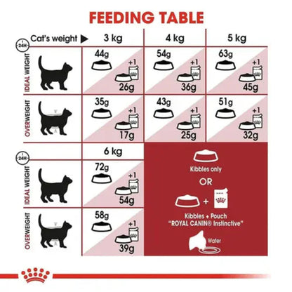 Royal Canin Fit 32 Regular for Adult Cat Dry Food