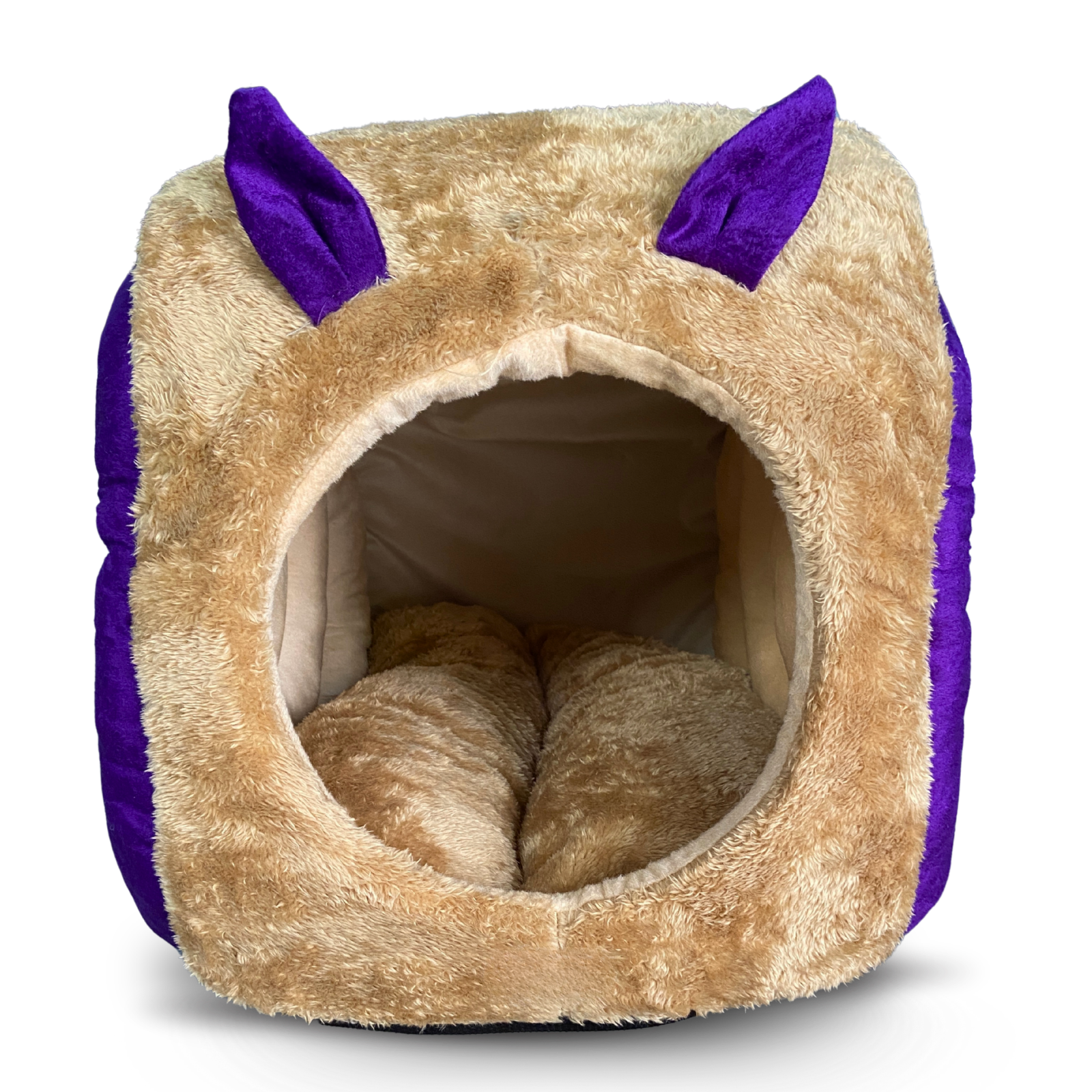 Snail Hut In Dehradun