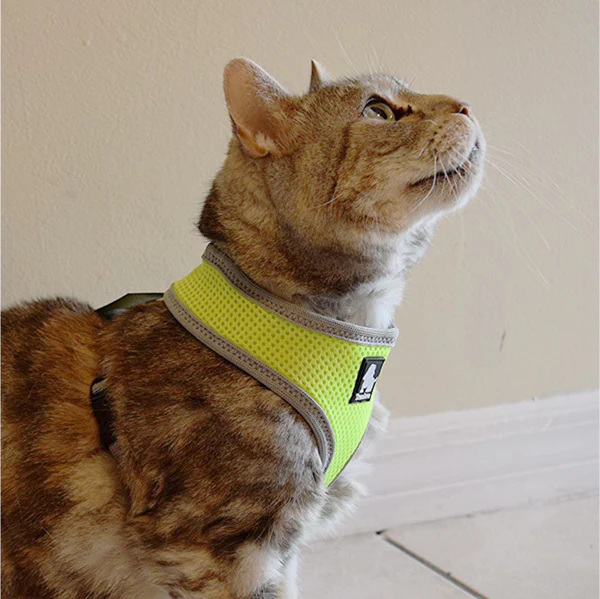 Truelove Harness for Cats and Small Dogs (Red)