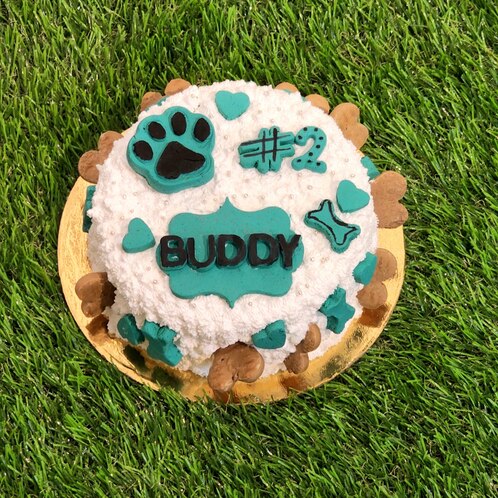 Banana and yogurt birthday cake for all pet breeds in Dehradun