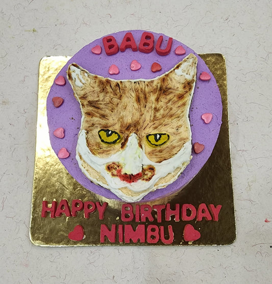 Tuna and pumpkin cat face birthday cake for cats made in Dehradun
